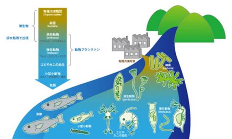 好環境原理|【自然の力で水を浄化】微生物を活用した排水処理に。